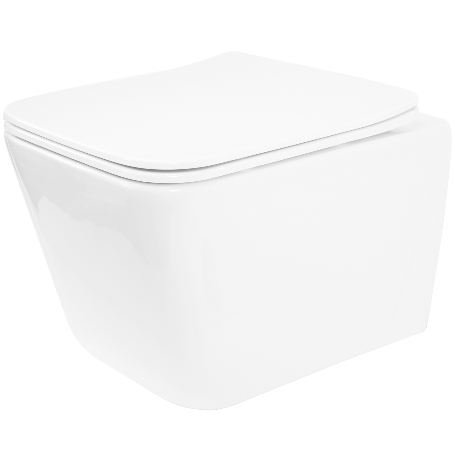 WC Schüssel Randlos Rea Julio Rimless 1