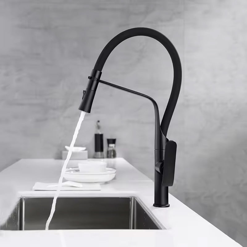 Küchearmatur Rea Castor black mat 6