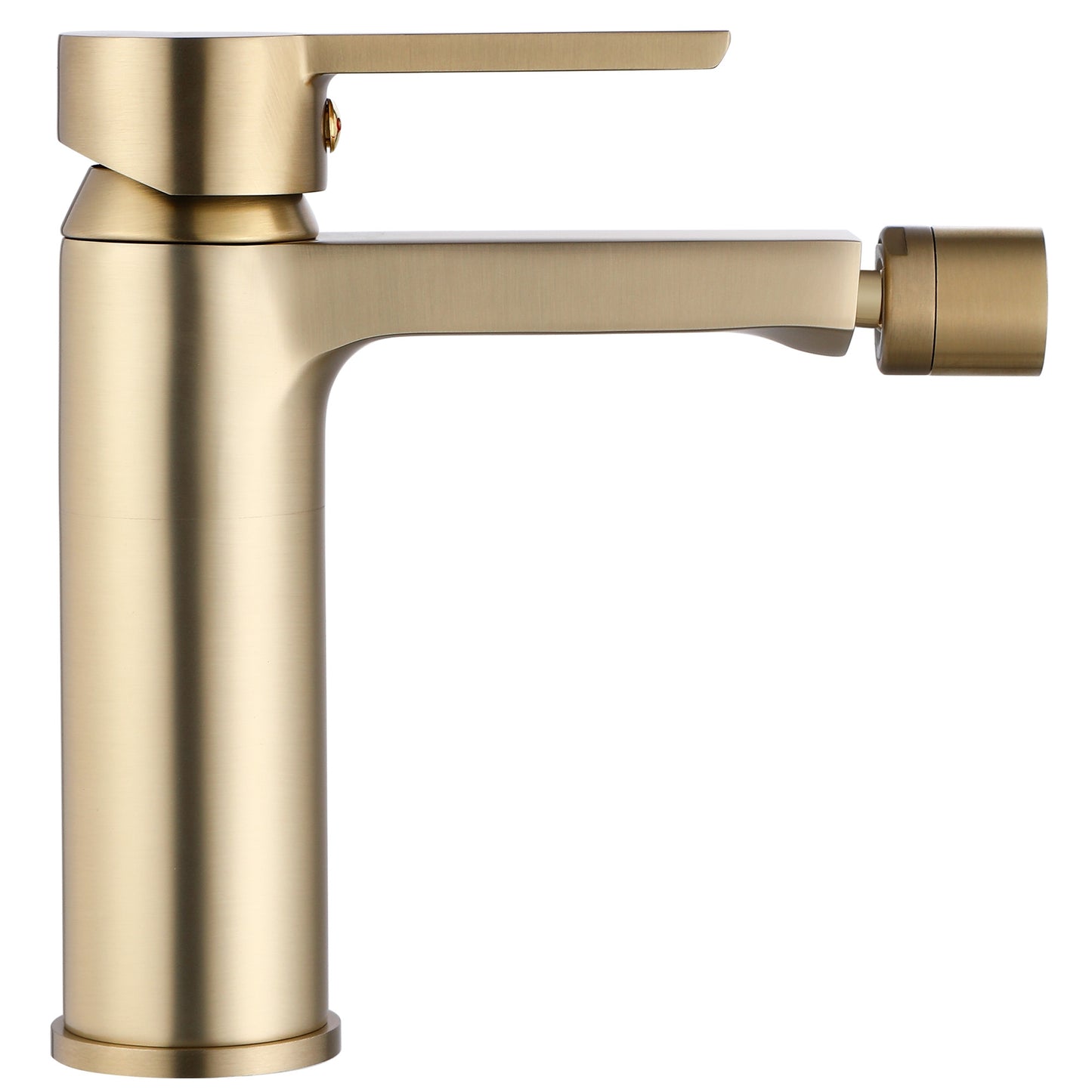 Bidetarmatur Rea ARGUS Gold Brush 2