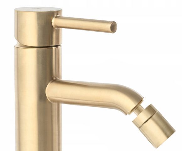 Bidetarmatur Rea Lungo Gold Brush 5