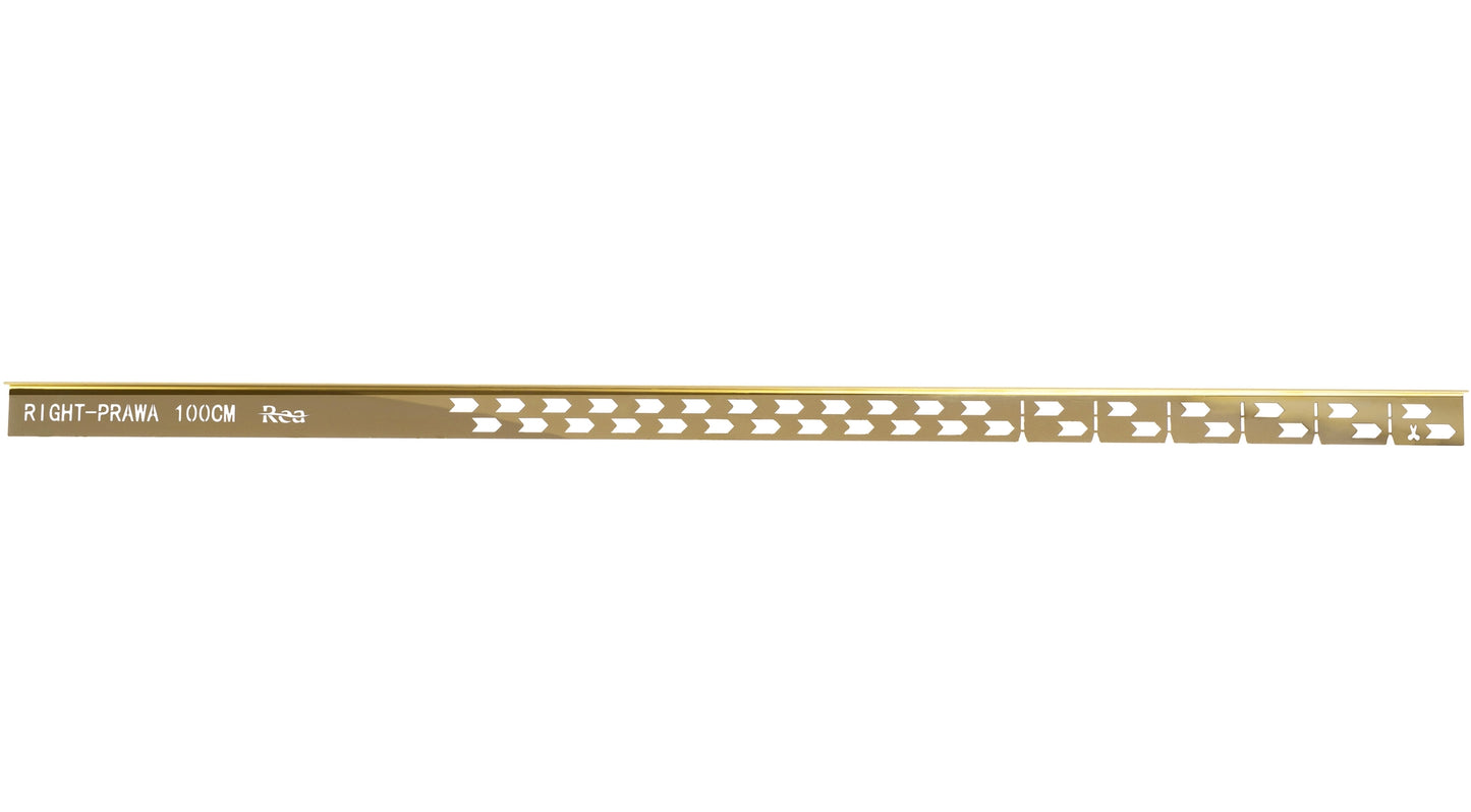 Gefälleprofil 100cm Gold linke 6