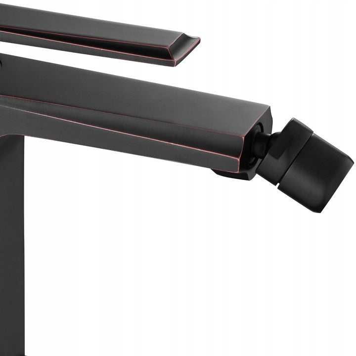 Bidetarmatur Rea Romano Old Black 3