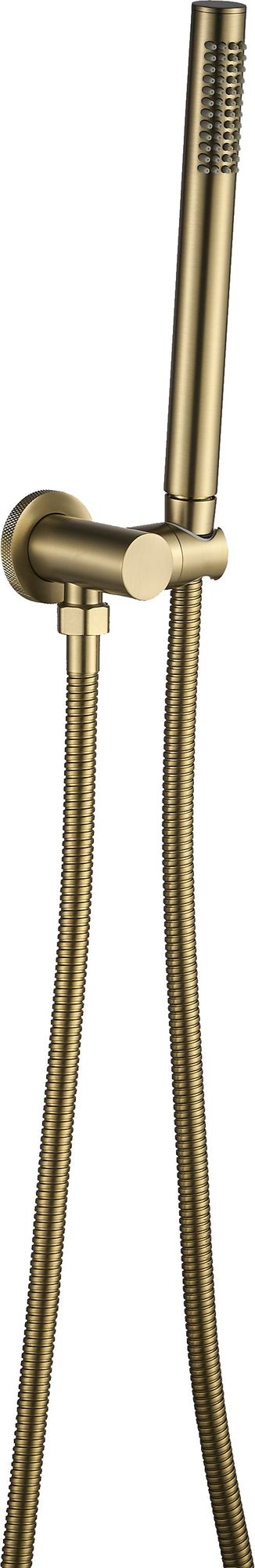 Unterputz Duschset Rea Lungo Grip Gold Brush + BOX 4