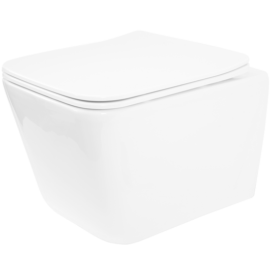WC Schüssel Randlos Rea Julio Rimless  1