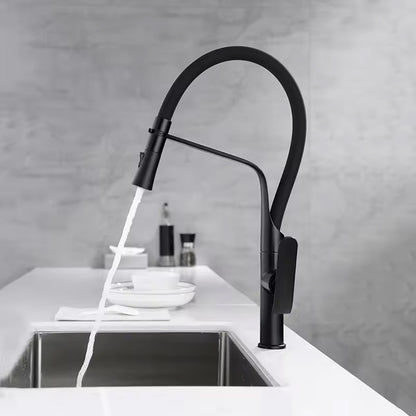 Küchearmatur Rea Castor black mat  6
