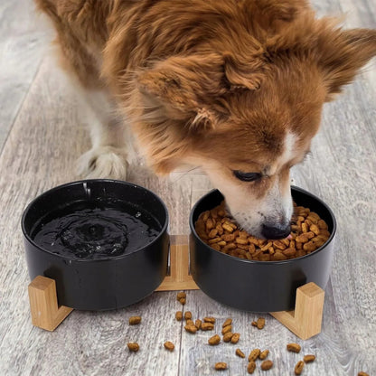 Napf Für Hund/Katze/Haustier BLACK 331579 + Sitzbezug Für Hunde 11