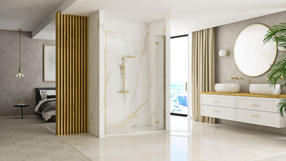 Duschtür Rea Hugo 80 Gold Brush + Duschwand 30 3