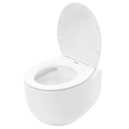 WC Schüssel Randlos Rea Lars  3