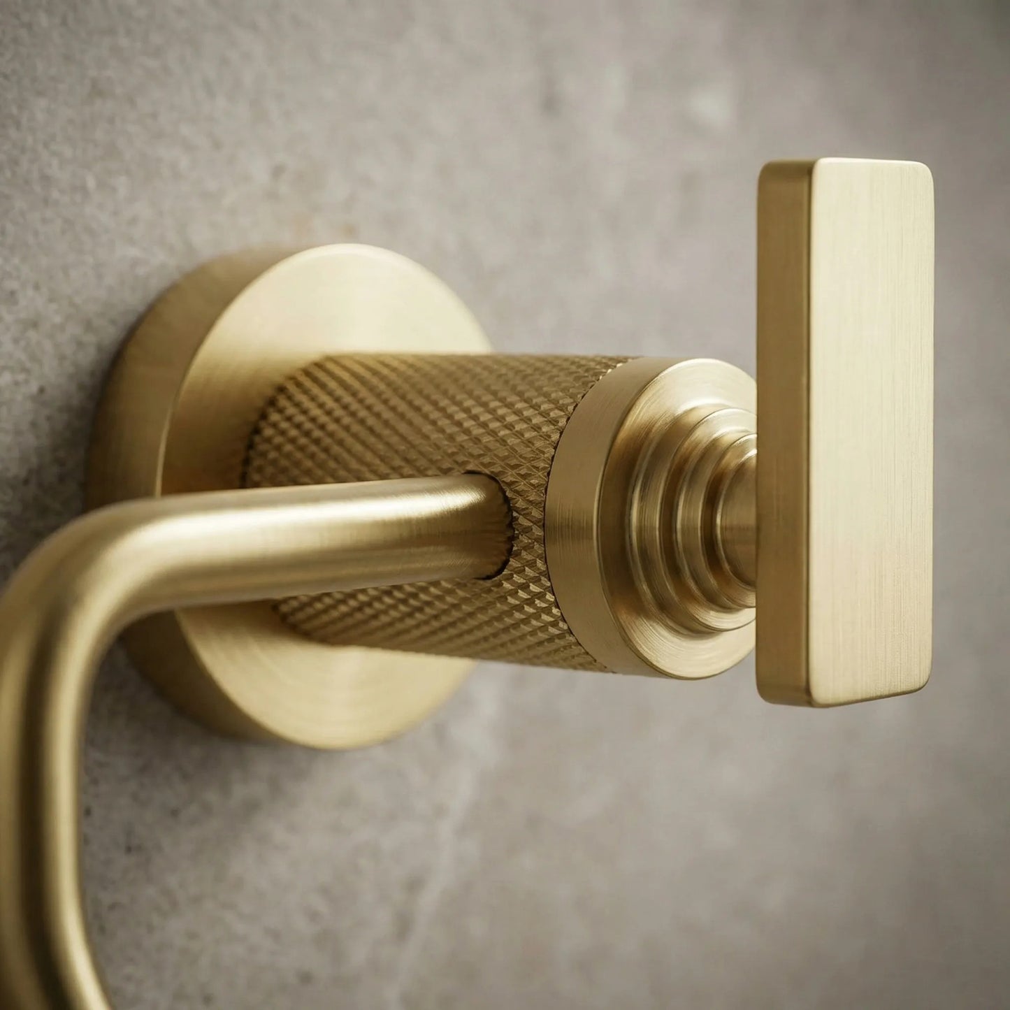 Halter für Toilettenpapier 81305 Rivo Brush Gold  4