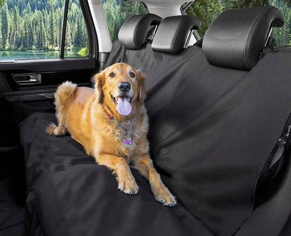 Napf Für Hund/Katze/Haustier BLACK 331579 + Sitzbezug Für Hunde 6