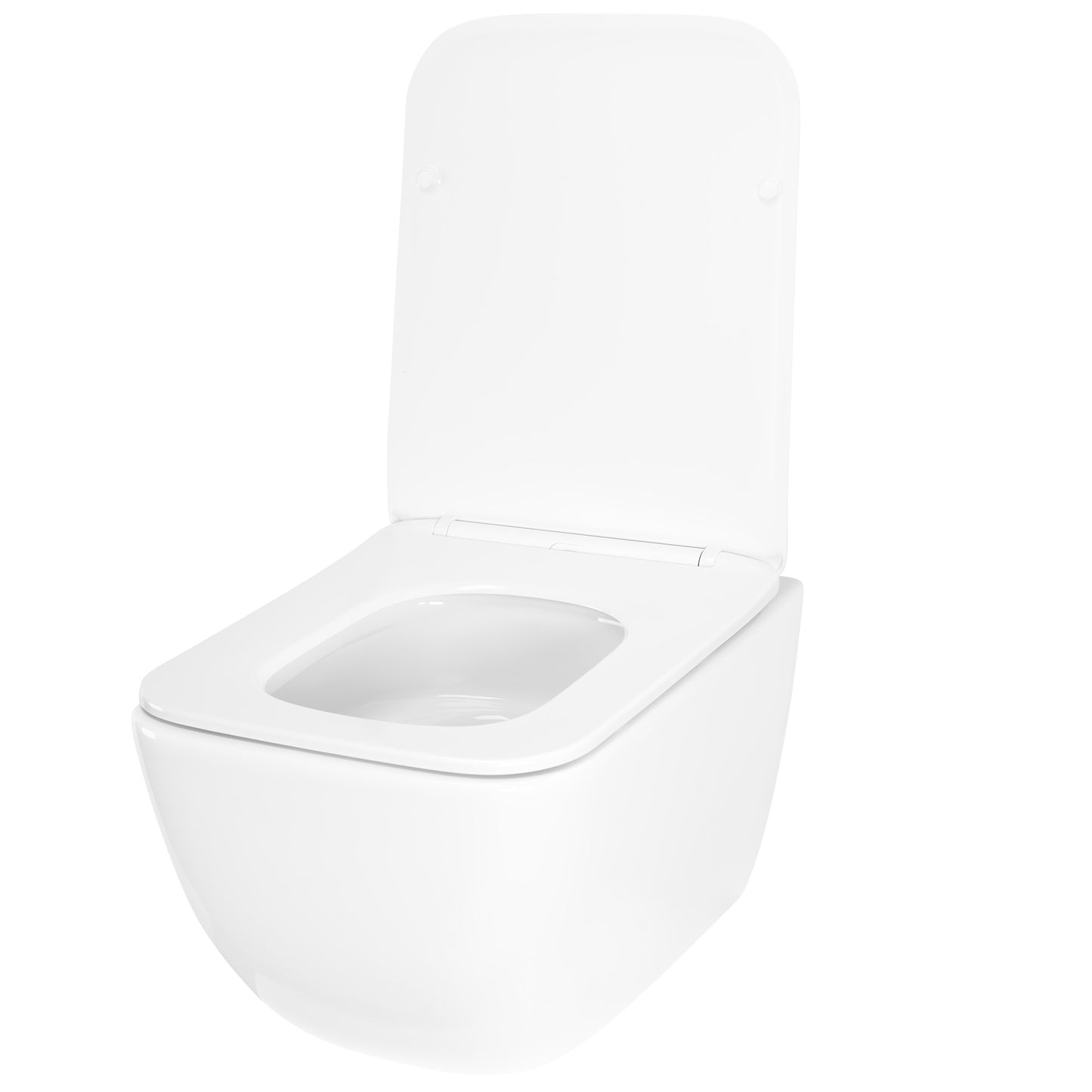 WC Schüssel Randlos Rea Dexter Tornado  5