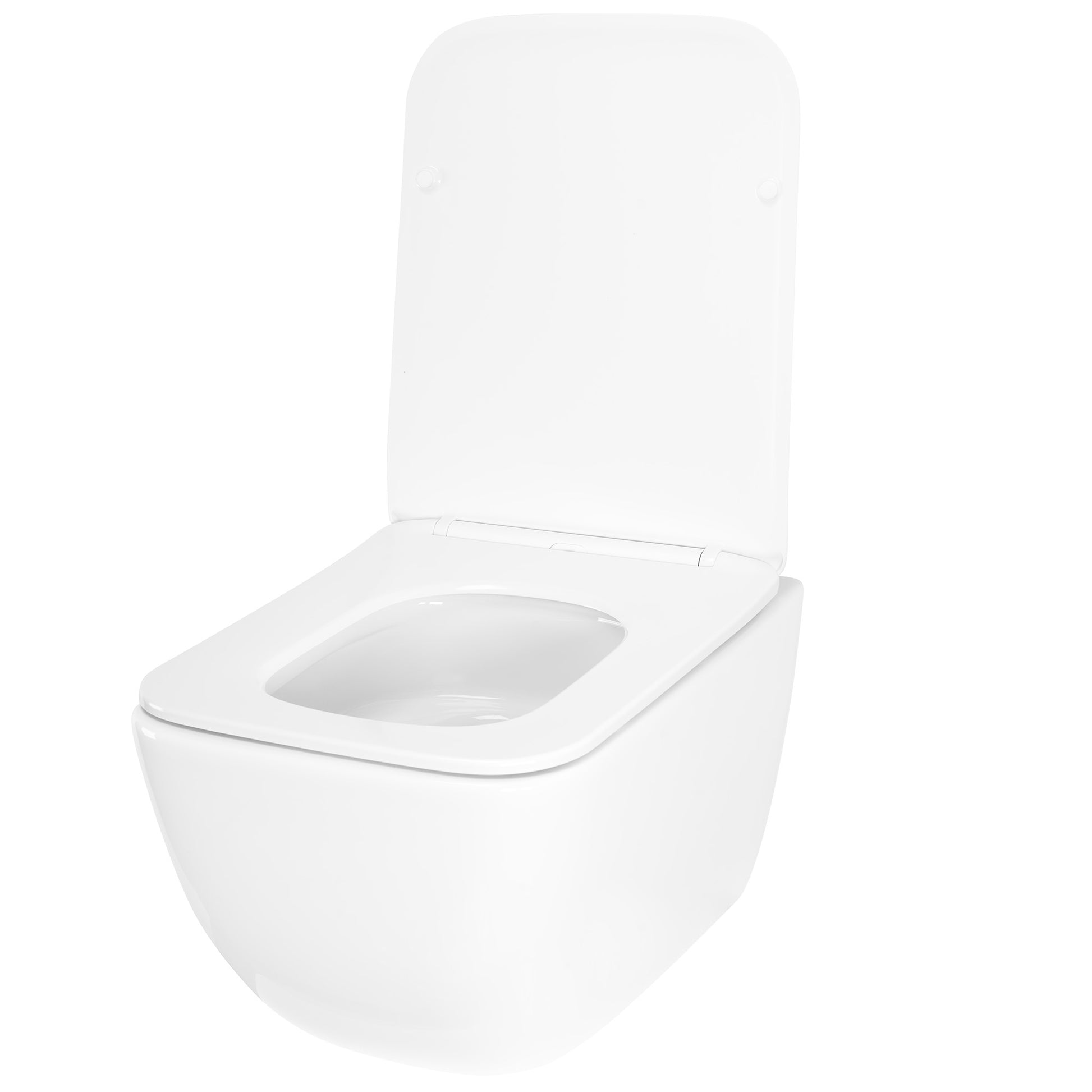 WC Schüssel Randlos Rea Dexter Tornado  5