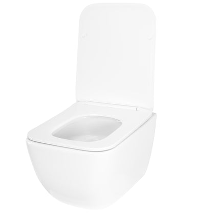 WC Schüssel Randlos Rea Dexter Tornado  5