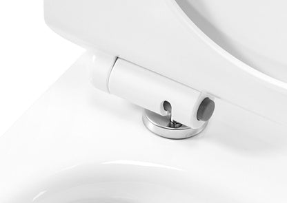 WC Schüssel Randlos Rea Carter Tornado  4