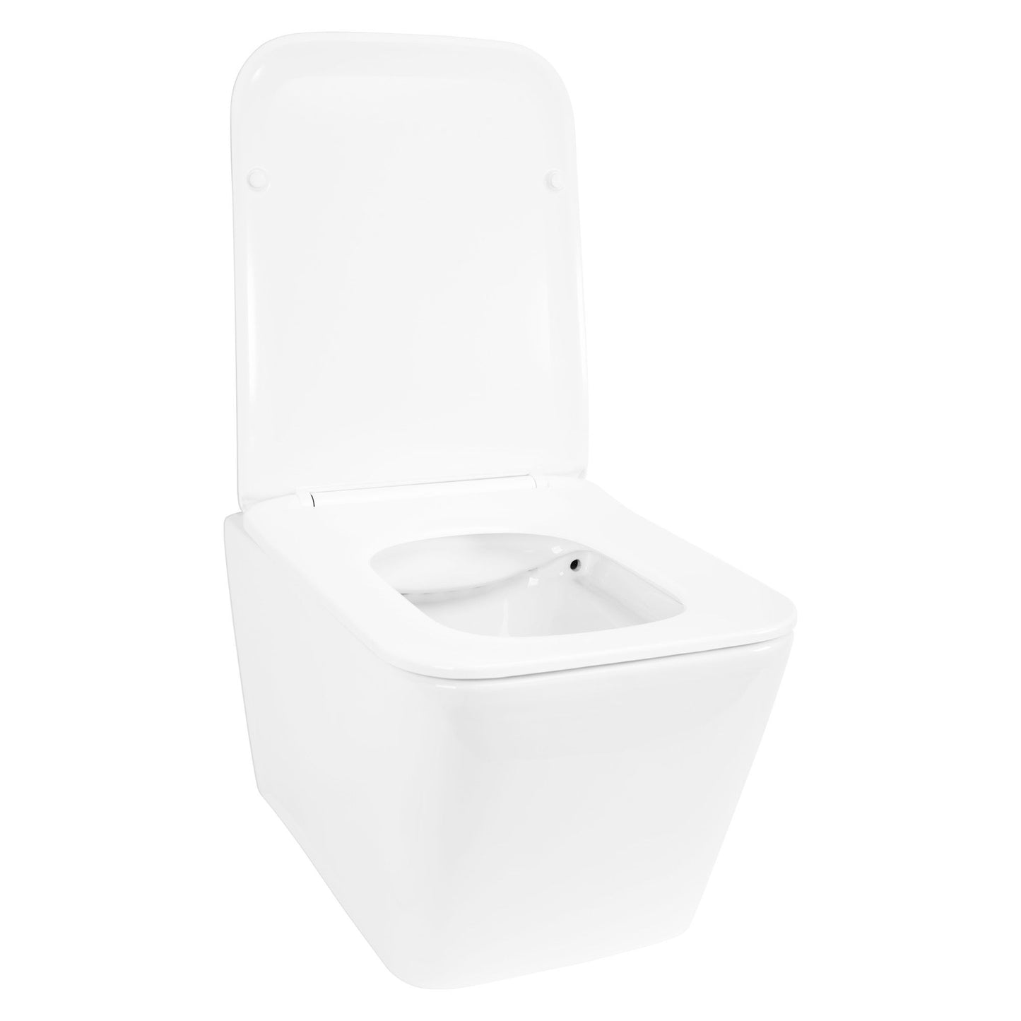 WC Schüssel Randlos Rea Julio Rimless  3