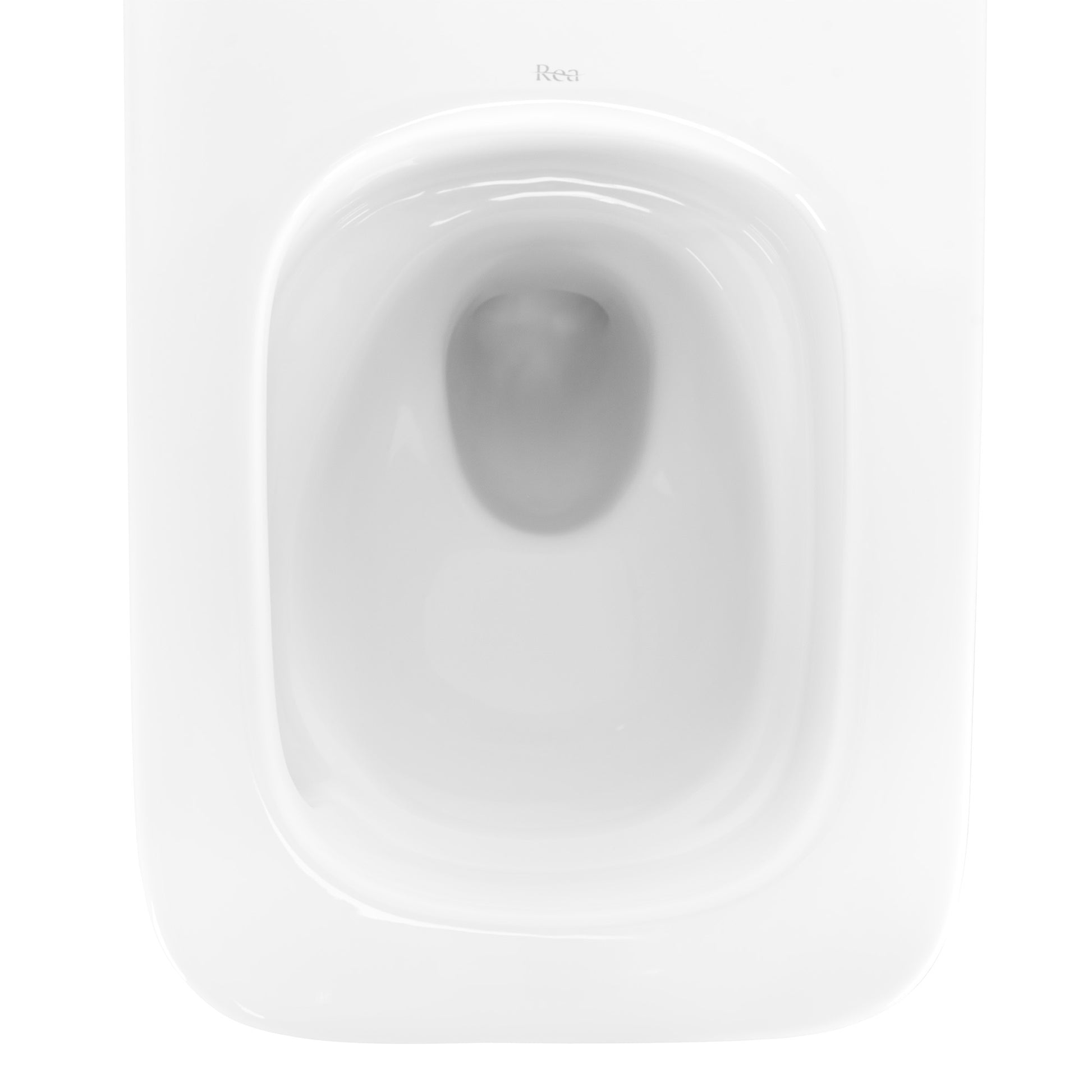 WC Schüssel Randlos Rea Dexter Tornado  4