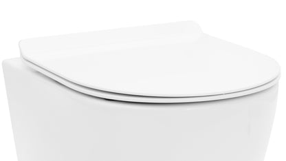 Langsam Schließender Uf Duroplast Flat White  6