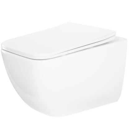 WC Schüssel Randlos Rea Dexter Tornado  1
