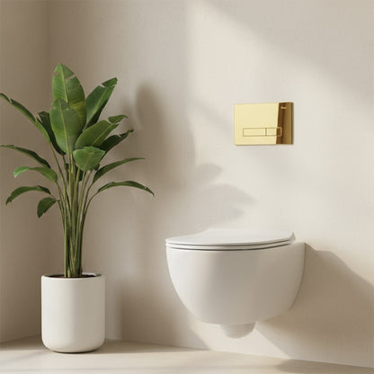 Vorwandelement Für Wc K011a-q Rea Hd Gold  2