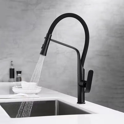 Küchearmatur Rea Castor black mat  2