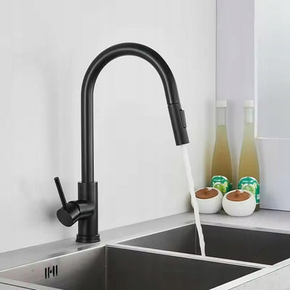 Küchearmatur Rea Fresh  black mat  9